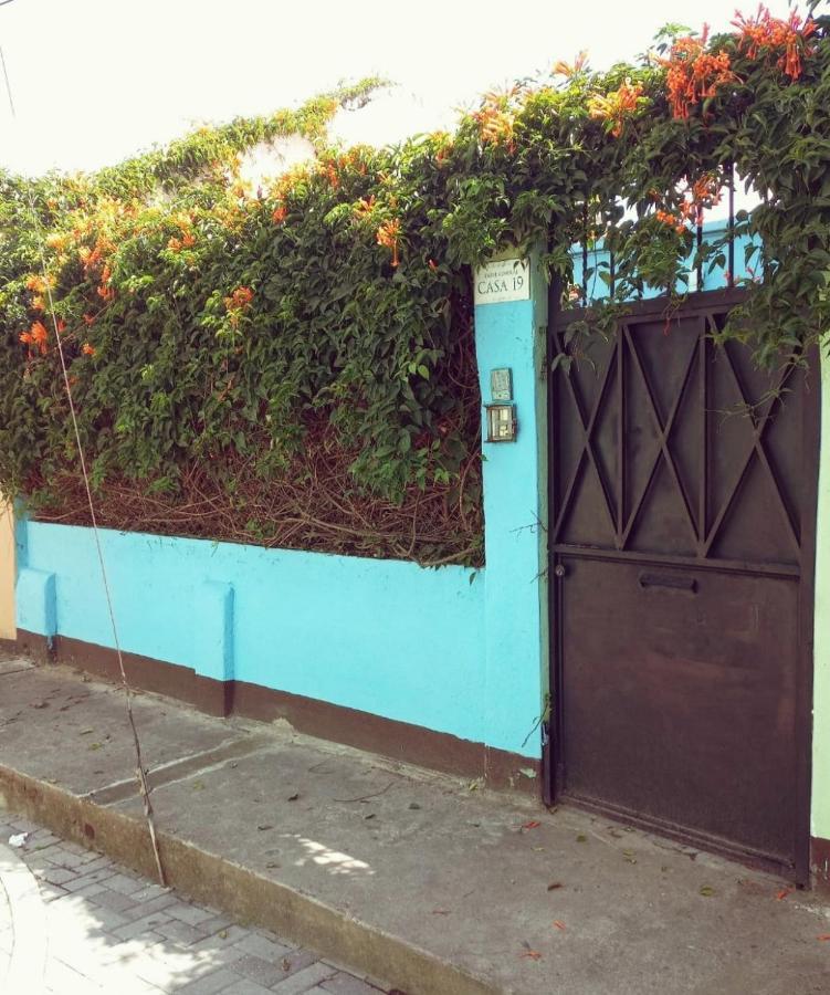 4 Grados Hostel グアテマラシティ エクステリア 写真