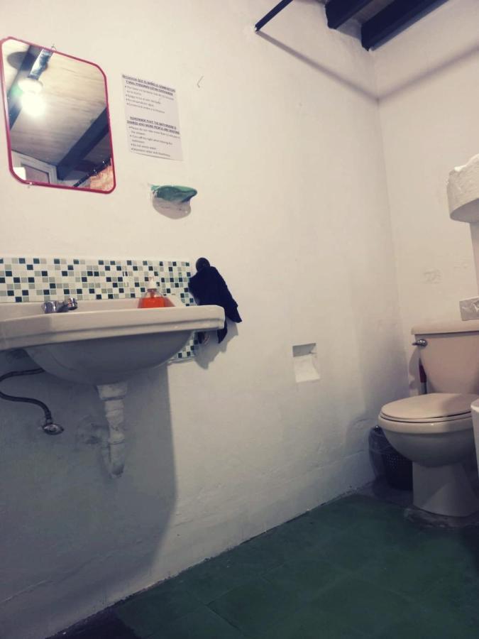 4 Grados Hostel グアテマラシティ エクステリア 写真